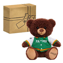 Load image into Gallery viewer, Just Play HBCyoU FAMU 10-inch Snuggly Letterman Teddy Bear