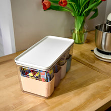 Load image into Gallery viewer, Rosanna Pansino iDesign Storage Bins 1 Large Bin w 4 Small Bins