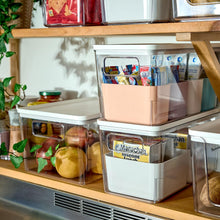 Load image into Gallery viewer, Rosanna Pansino iDesign Storage Bins 1 Large Bin w 4 Small Bins
