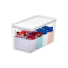 Load image into Gallery viewer, Rosanna Pansino iDesign Storage Bins 1 Large Bin w 4 Small Bins
